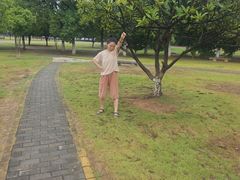 -艾溪湖湿地公园