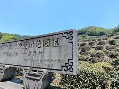 -龙井村