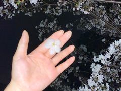 -金银湖国家城市湿地公园