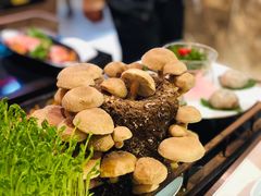 活体松香菇-捞神汤物料理(正大广场店)