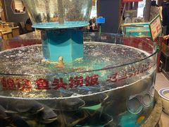 -魏铭鱼头捞饭(晋阳路店)