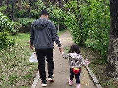 -长白岛森林公园