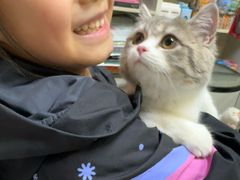 -八公叔叔宠物美容连锁(春申店)