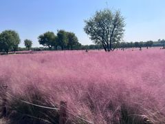 -汉长安城未央宫国家考古遗址公园