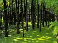 -青山湖景区