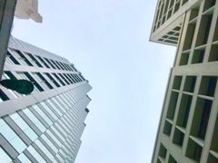 -Big Bus Tours 敞篷观光巴士