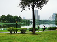 -飞来湖湿地公园