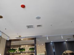 -刘胖子家常菜·蹄花焖藕(中南店)