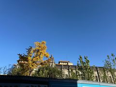 -王府井文华东方酒店-紫膳餐厅