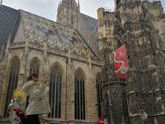 -斯蒂芬主教座堂(Stephansdom)