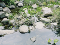 -宝界山林公园