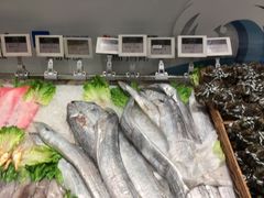 -高佳庄·舟山海鲜(海景旗舰店)