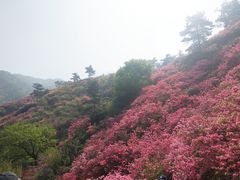 -木兰云雾山