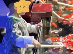 -中国宋庆龄青少年科技文化交流中心