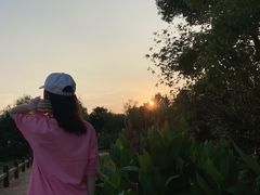 -艾溪湖湿地公园