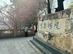-望江楼公园