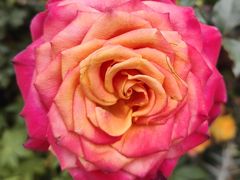 -人民公园(罗湖区)