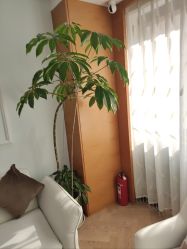-HEYAN荷妍专业脱毛连锁机构