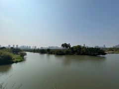 -三垟湿地