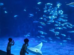 -鹿儿岛水族馆