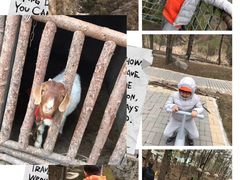 -洛阳白云山景区