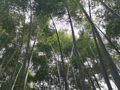 -巨石山景区