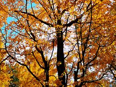 -苏州河梦清园环保主题公园