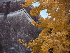-东山风景区(洞庭东山)