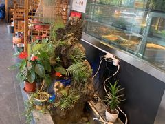 -铁锅炖灶台鱼老三炖鱼馆