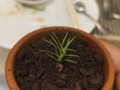 -亮马河饭店翠雅咖啡厅