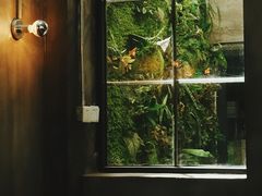 -无牌咖啡&酒馆