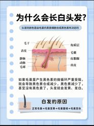 -Bollins波林丝•专研护发中心