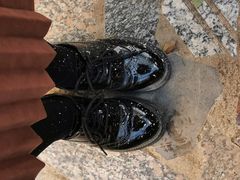 -喵屿·大理花园猫咖