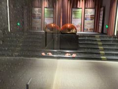 -漫·汤泉