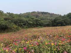 -南北湖风景区
