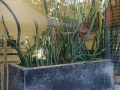-小洲村