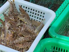 -都斛海鲜街