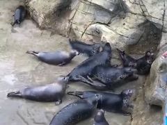 -华夏文旅海洋公园