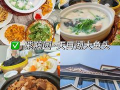 -紫藤园·天目湖大鱼头(南山竹海店)