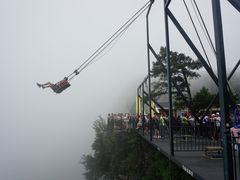 -梦幻奥陶纪景区