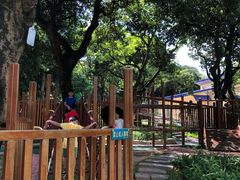 -天河儿童公园
