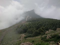 -白草畔自然风景区