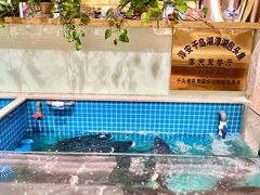 -春天里餐厅(西田城店)