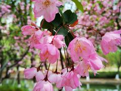 -白塘生态植物园