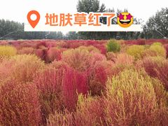 -汉长安城未央宫国家考古遗址公园