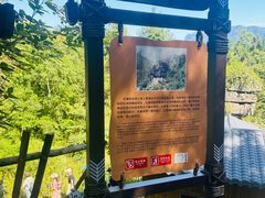 -梭布垭石林景区