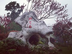 -桃花岛景观公园