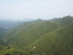 -鹿亭中村