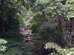 -火炉山森林公园