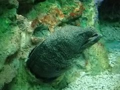 -大连圣亚海洋世界